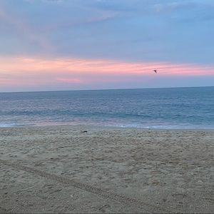 Meet your Posher, Marie